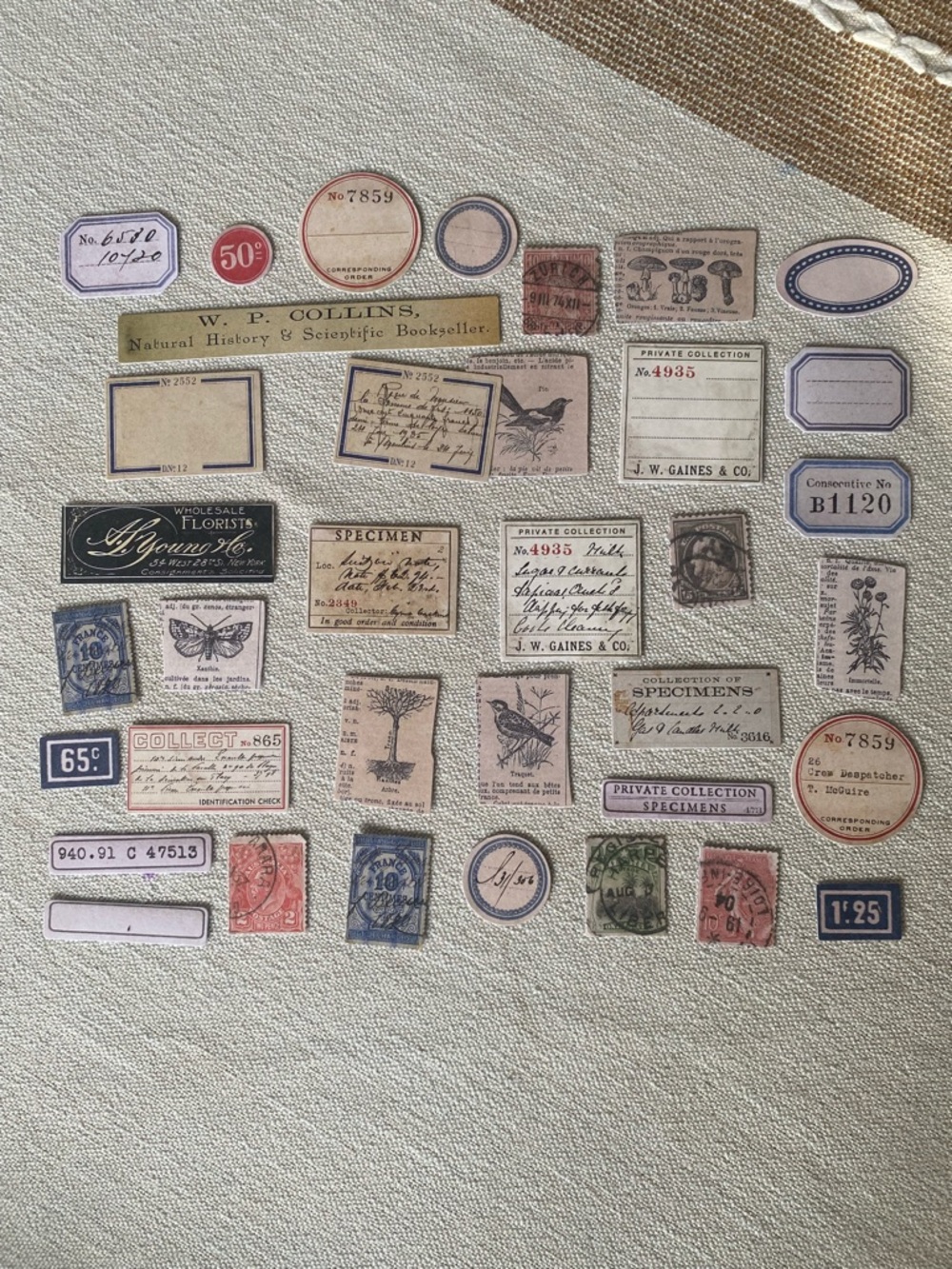 Vintage Card stock (Not Stickers) — Neutral & Navy Accents Perfect for Jounaling